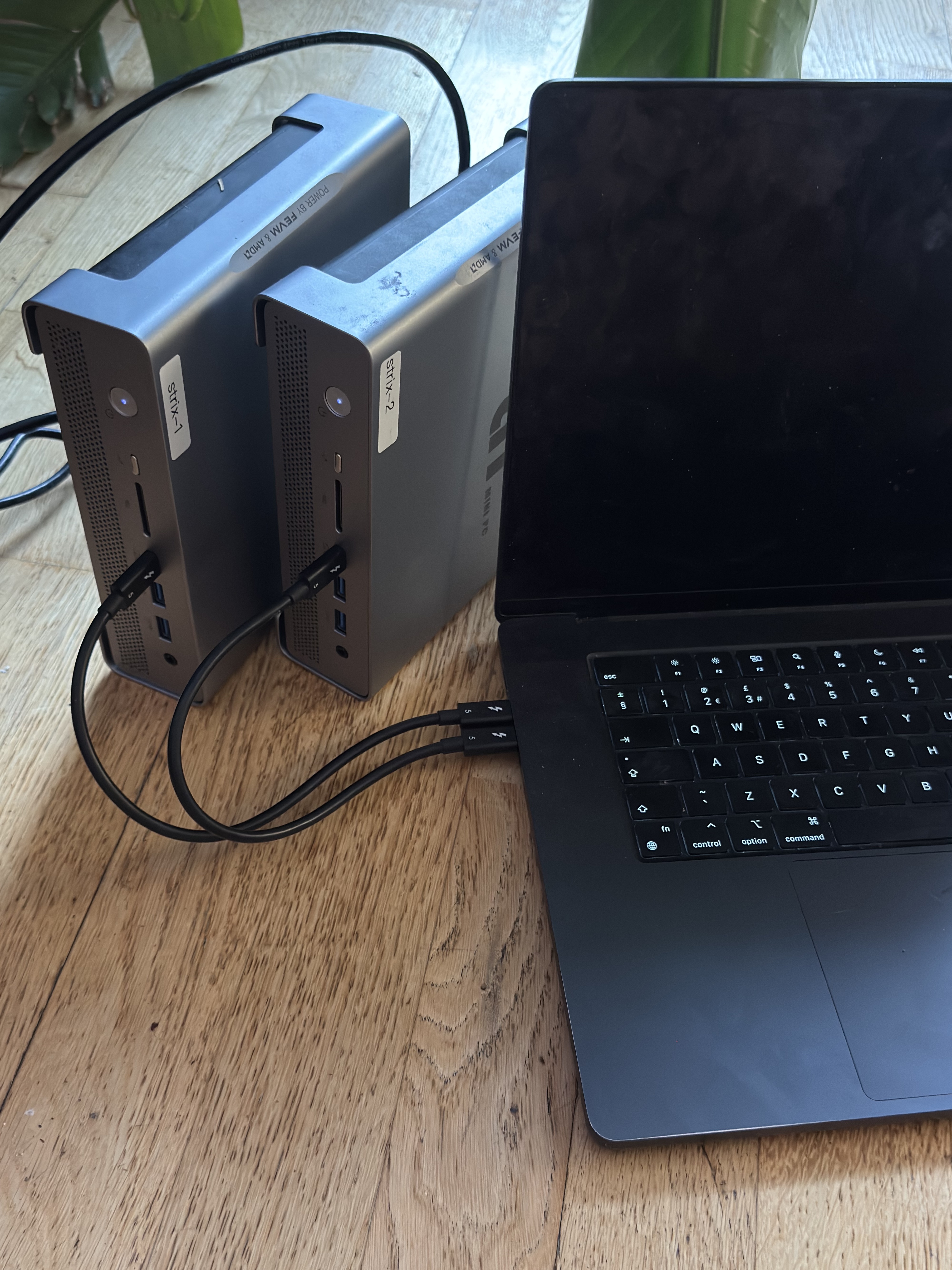 two Strix Halo mini-PCs and a MacBook connected over Thunderbolt